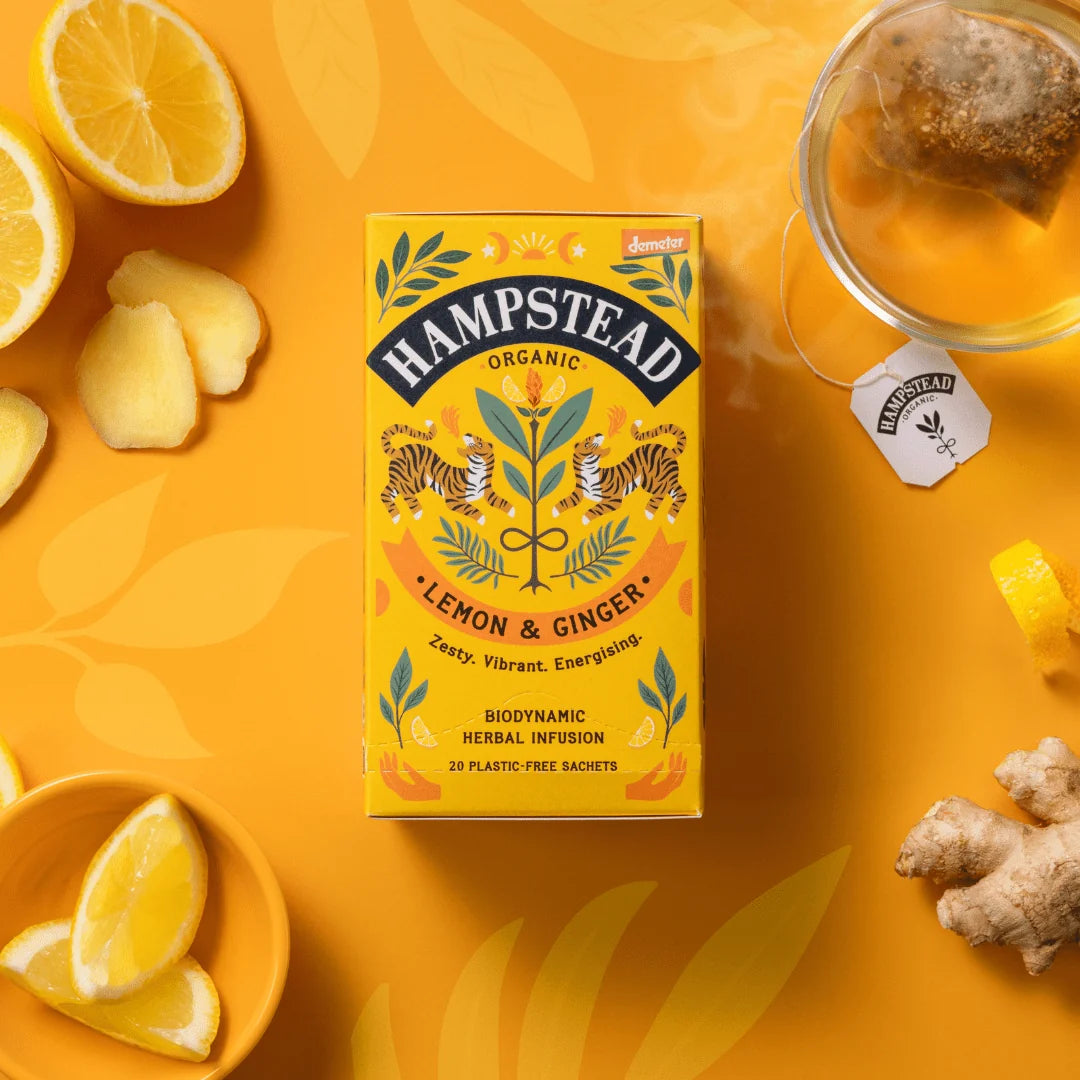 Ginger and Lemongrass Infusion