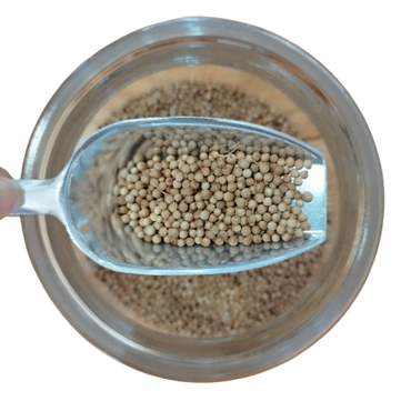 Coentros em Grão Bio