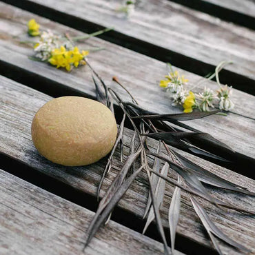 Champô Sólido Mind The Trash – Cabelos Com Coloração