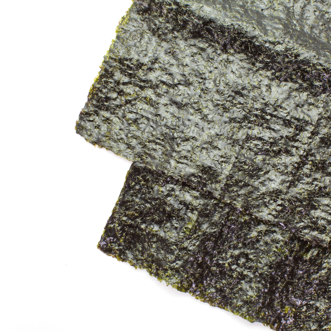 Alga Nori Bio