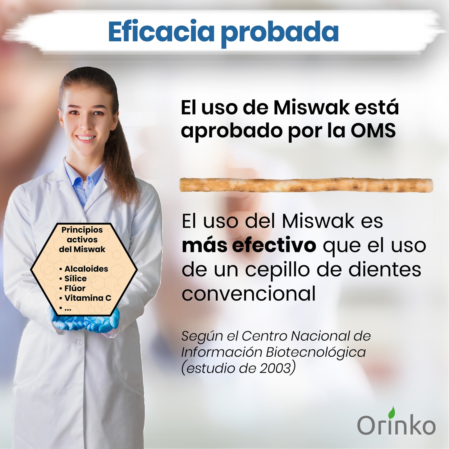 Siwak - Escova de Dentes Natural