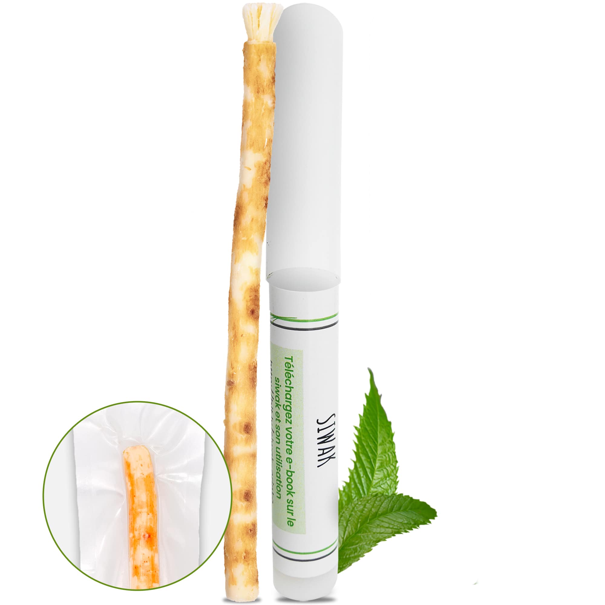 Siwak - Escova de Dentes Natural