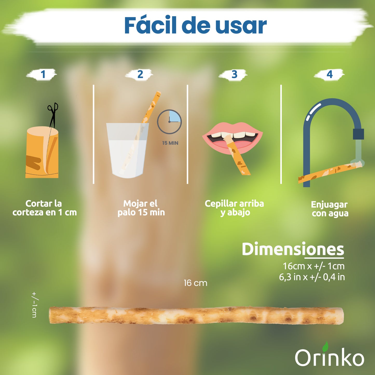 Siwak - Escova de Dentes Natural