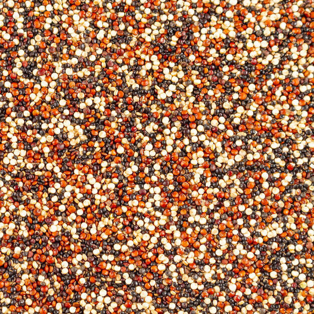 Quinoa Tricolor Bio